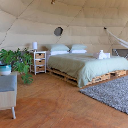 1 Waipu Off-Grid Eco Seaview Geodesic Glamping Dome Hotel Buitenkant foto