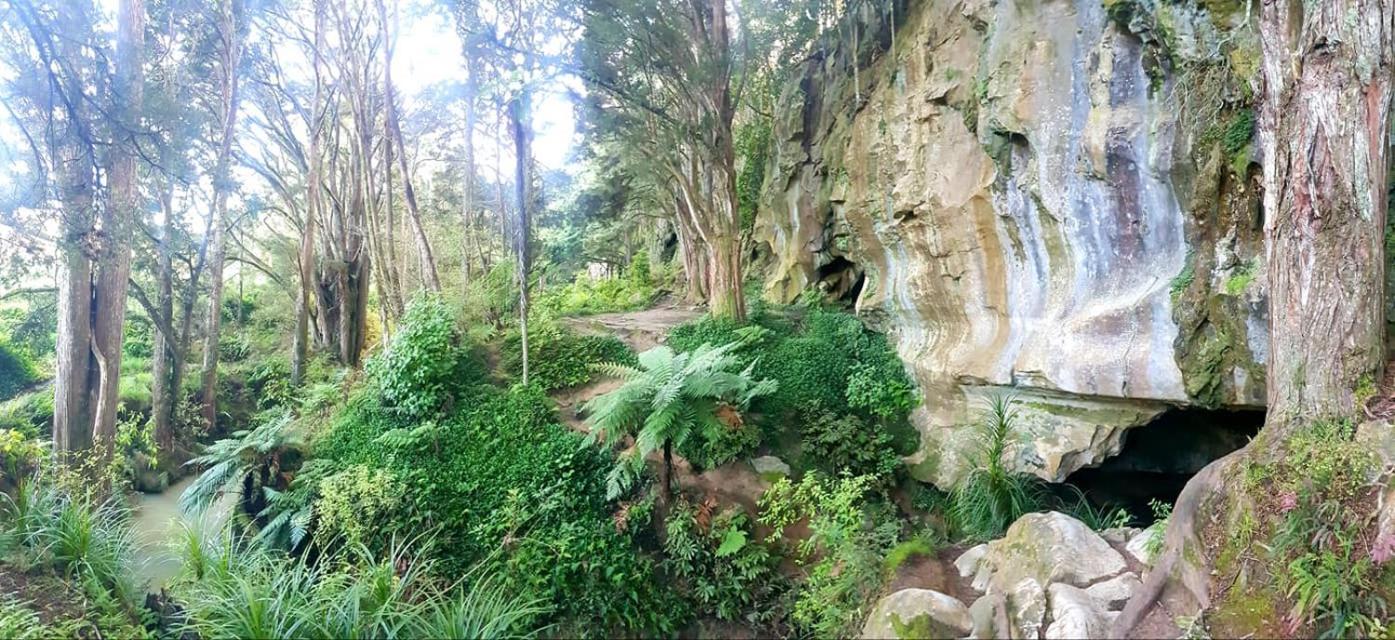 1 Waipu Off-Grid Eco Seaview Geodesic Glamping Dome Hotel Buitenkant foto